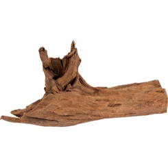 Trærod 35-45cm - Mangrove - Assorteret pluk